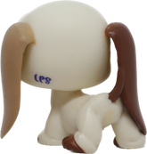 #1594 Basset Hound
